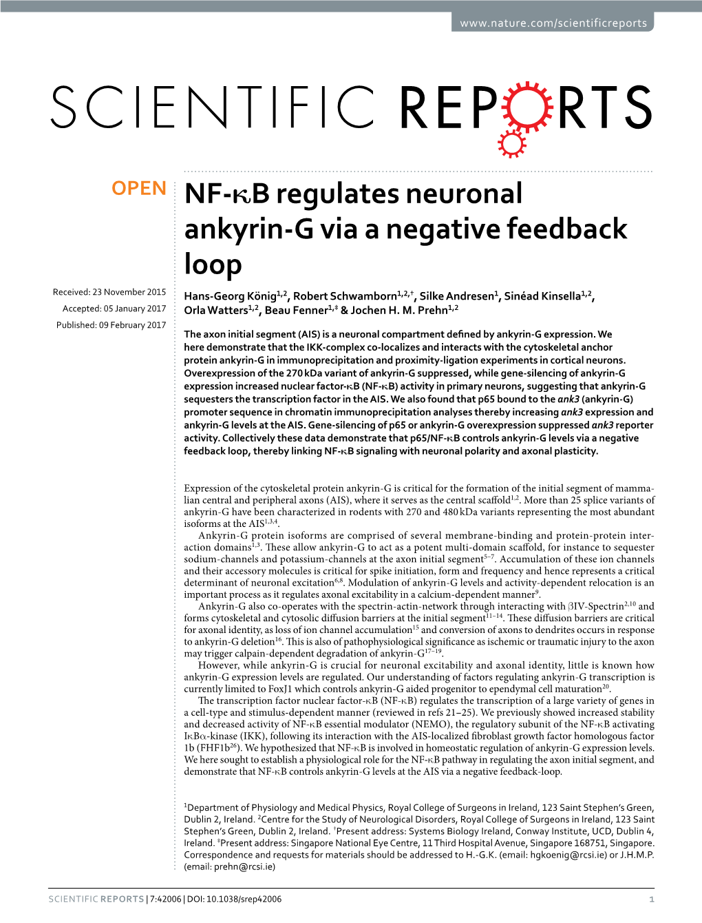 NF-Κb Regulates Neuronal Ankyrin-G Via a Negative Feedback Loop