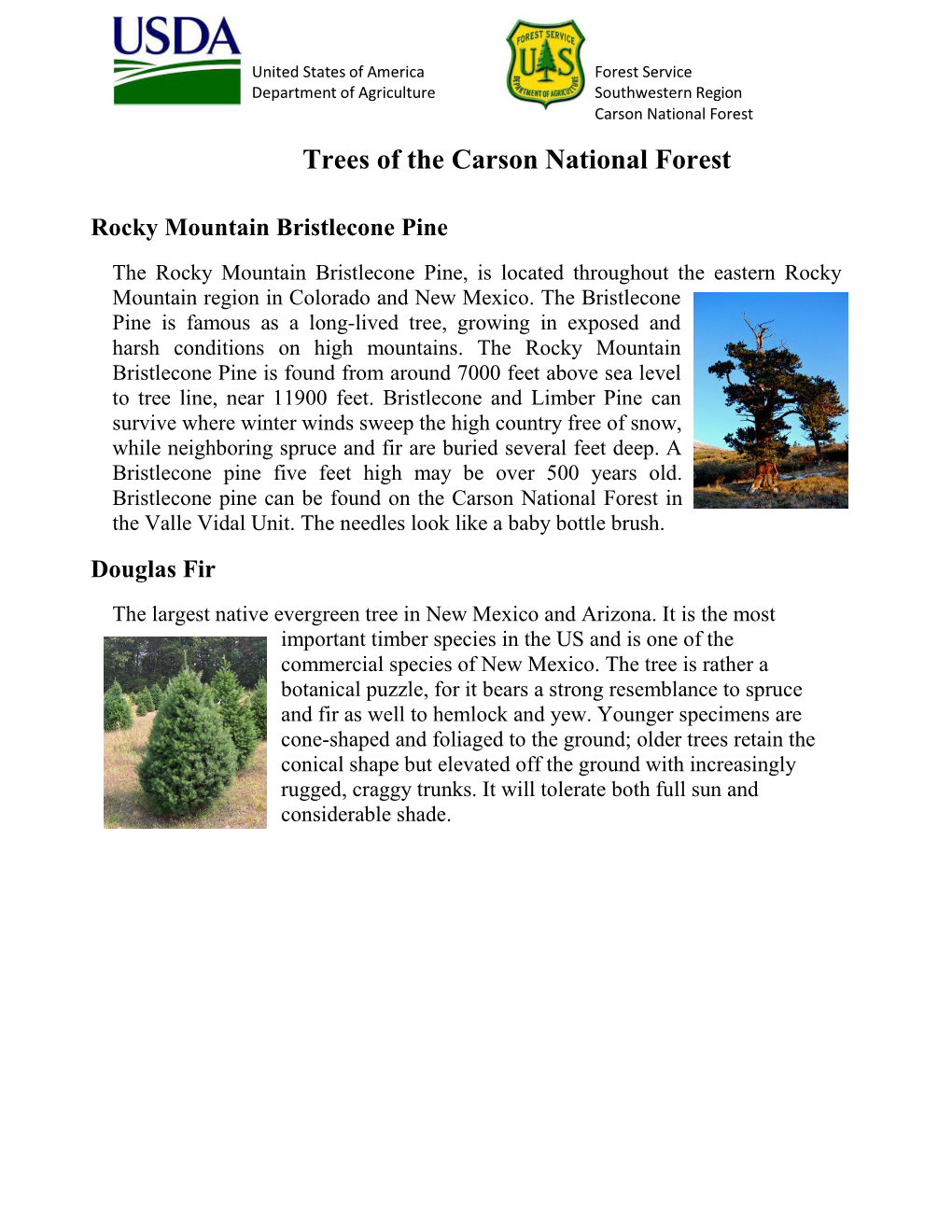 Trees of the Carson National Forest