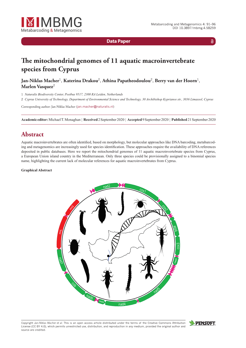 ﻿The Mitochondrial Genomes of 11 Aquatic Macroinvertebrate Species