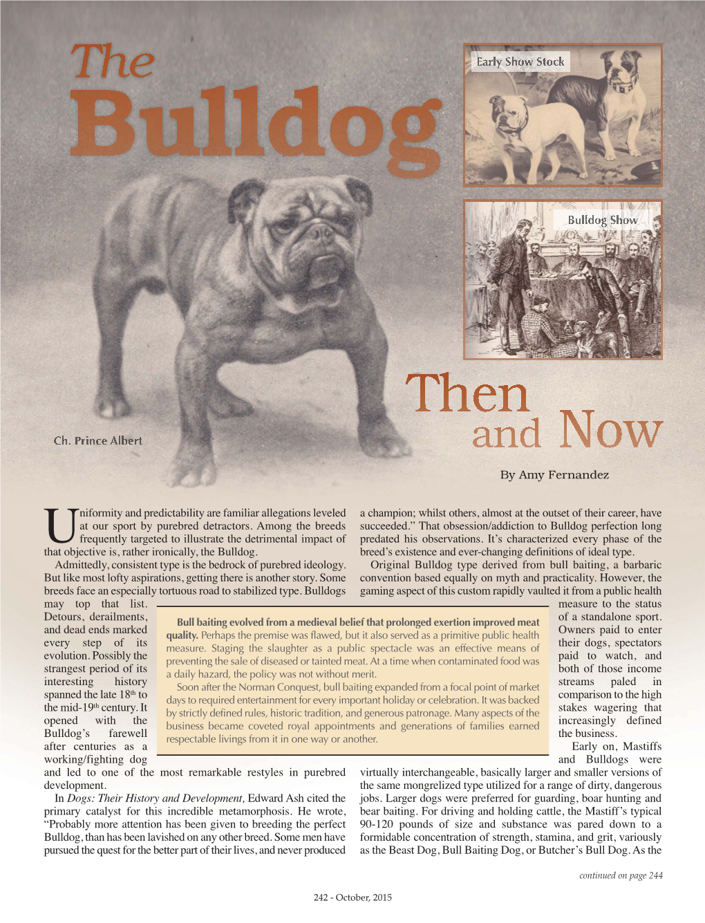 The Bulldog Then And