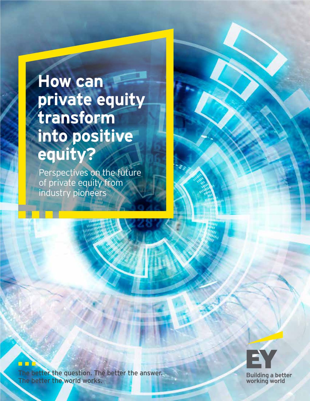 How Can Private Equity Transform Into Positive Equity? Perspectives on the Future of Private Equity from Industry Pioneers Our Research