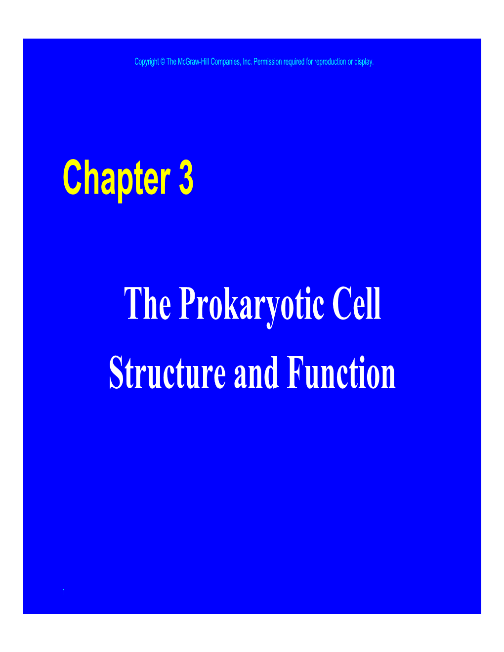 Chapter 3 the Prokaryotic Cell Structure and Function