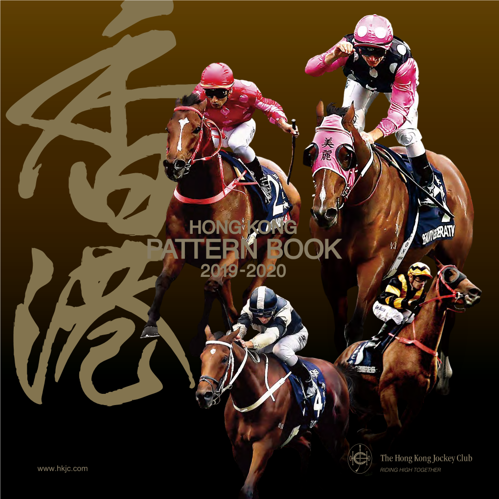 Sha Tin Vase