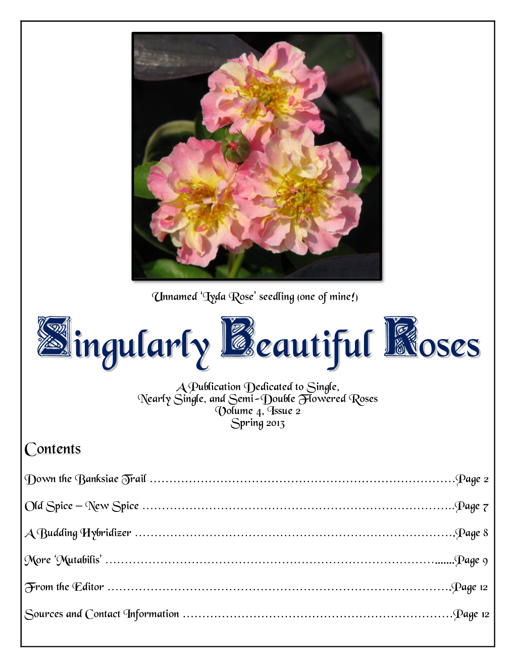 Singularly Beautiful Roses