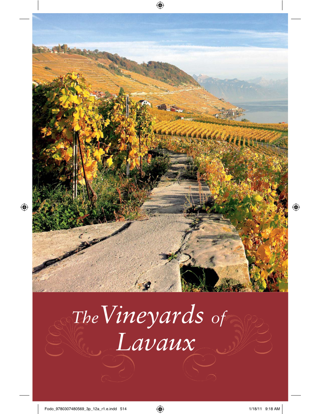 Lavaux Thevineyards Of