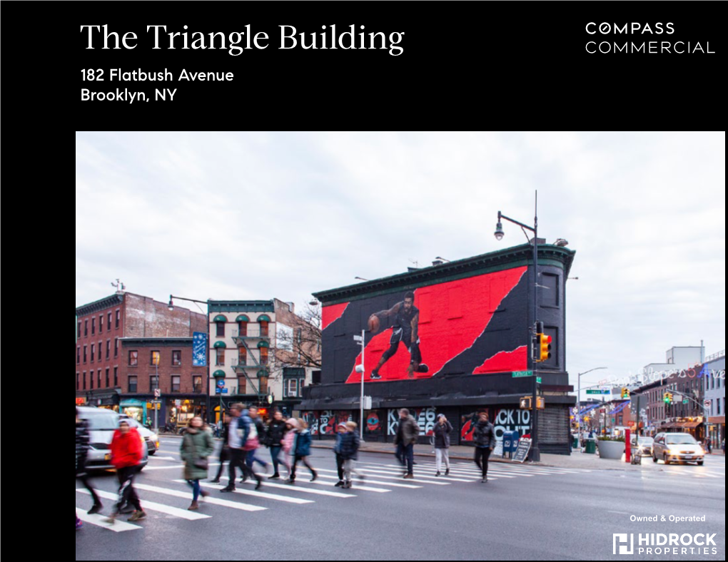 The Triangle Building 182 Flatbush Avenue Brooklyn, NY