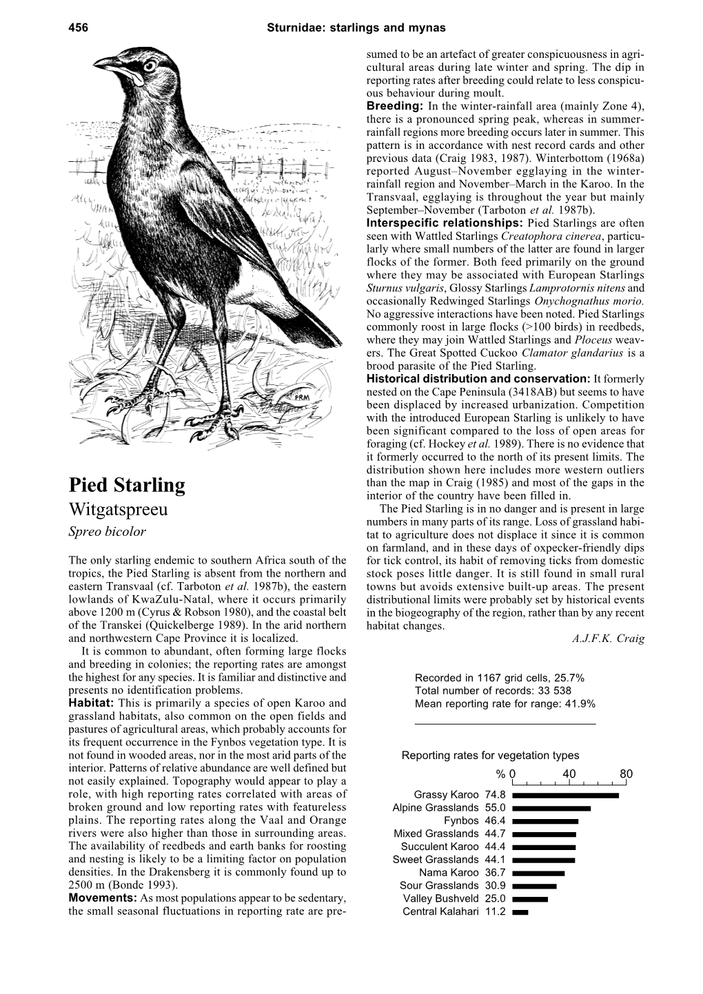 Pied Starlings Are Often Seen with Wattled Starlings Creatophora Cinerea, Particu- Larly Where Small Numbers of the Latter Are Found in Larger Flocks of the Former