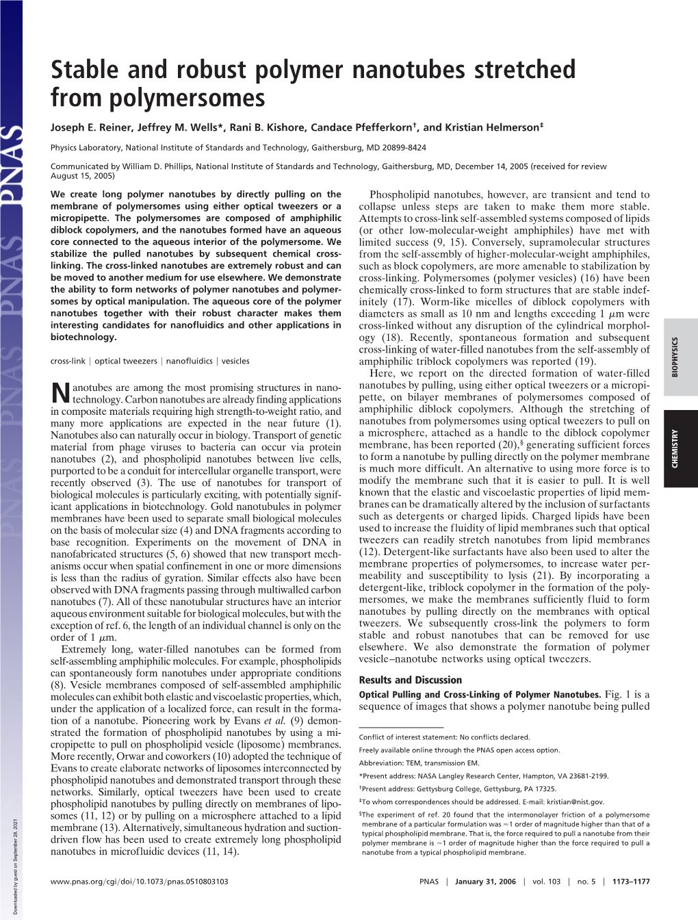 Stable and Robust Polymer Nanotubes Stretched from Polymersomes