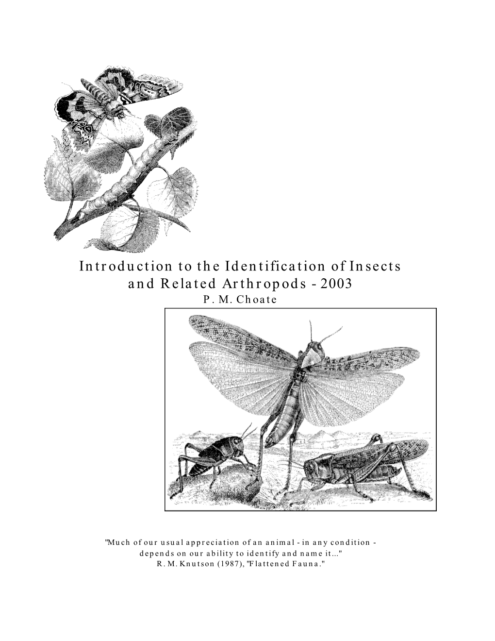 Introduction to the Identification of Insects and Related Arthropods - 2003 P