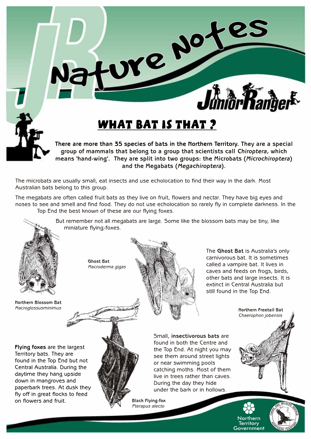 Bats in the Northern Territory