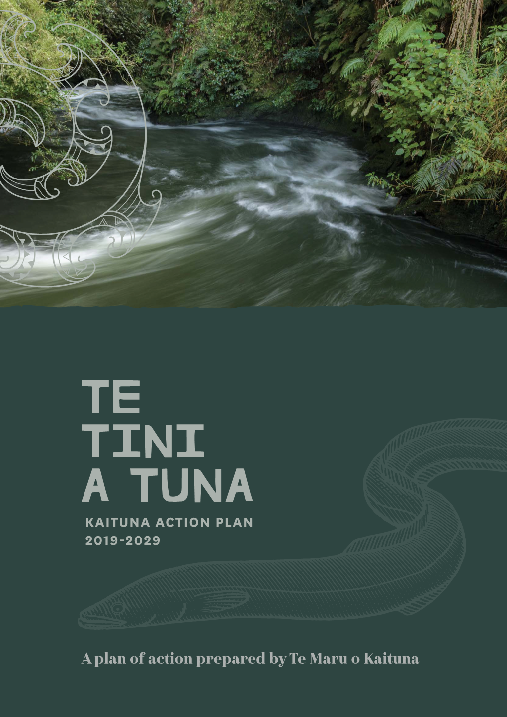 Te Tini a Tuna – Kaituna Action Plan 2019- 2029