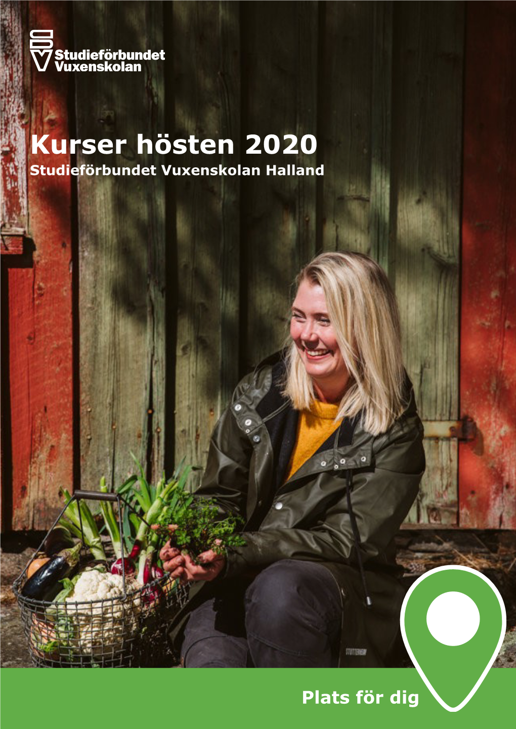 Kurser Hösten 2020 Studieförbundet Vuxenskolan Halland