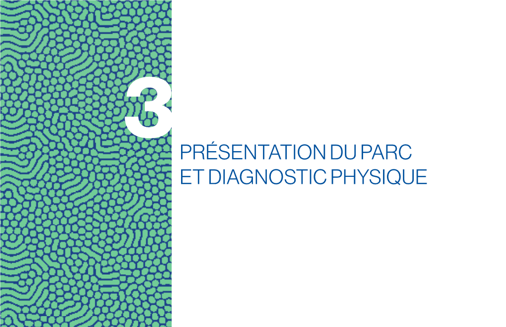 Présentation Du Parc Et Diagnostic Physique