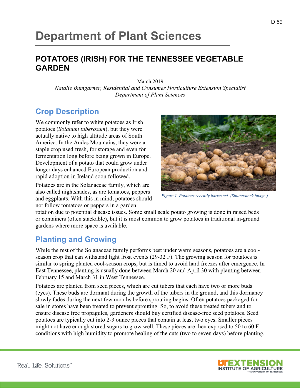 Potatoes (Irish) for the Tennessee Vegetable Garden D 69