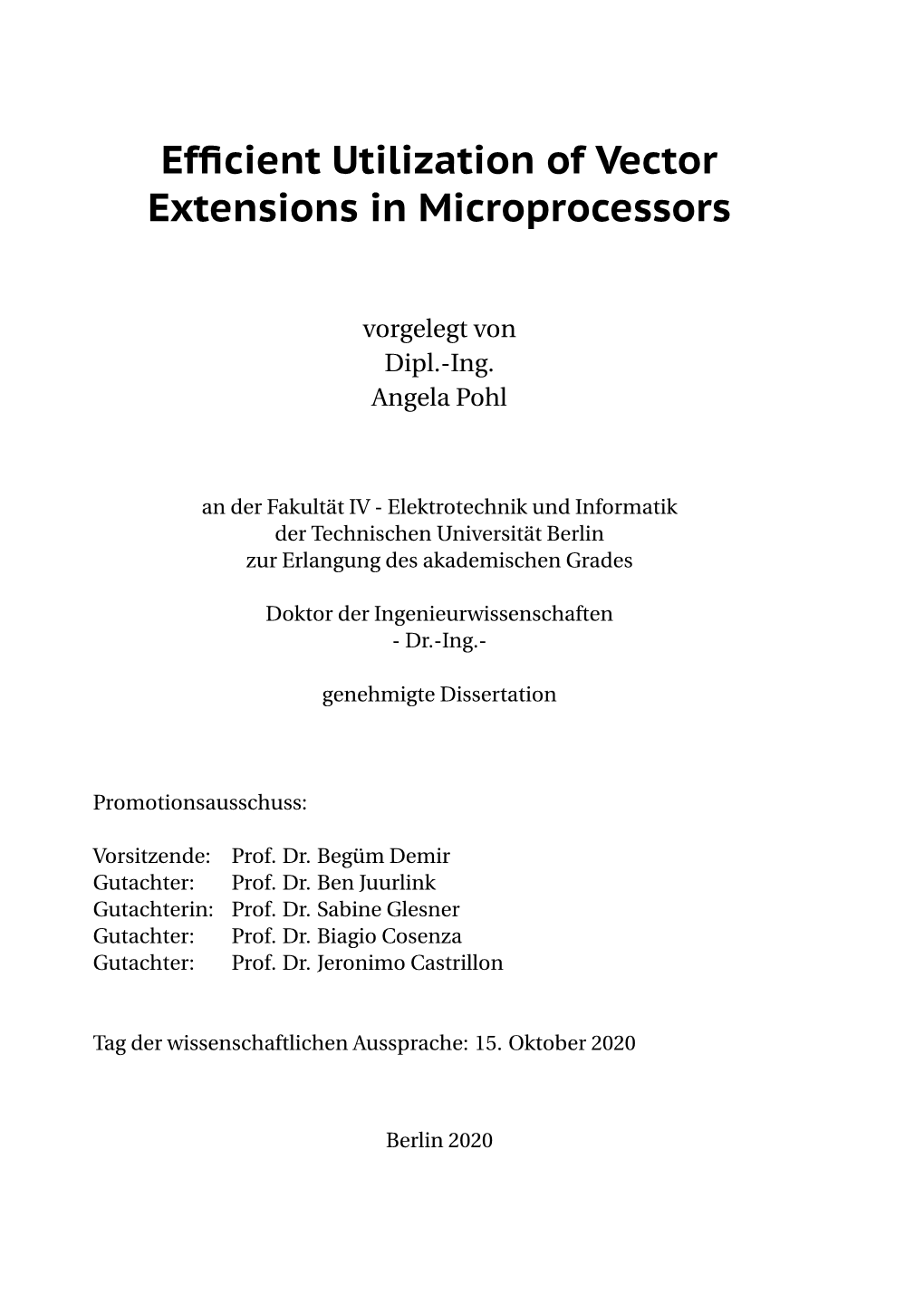 Efficient Utilization of Vector Extensions in Microprocessors