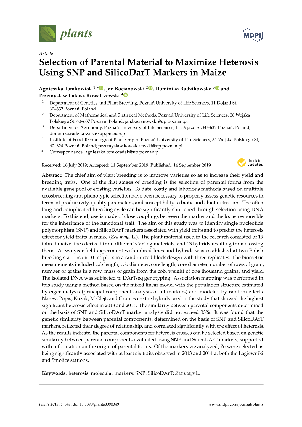 Selection of Parental Material to Maximize Heterosis Using SNP and Silicodart Markers in Maize