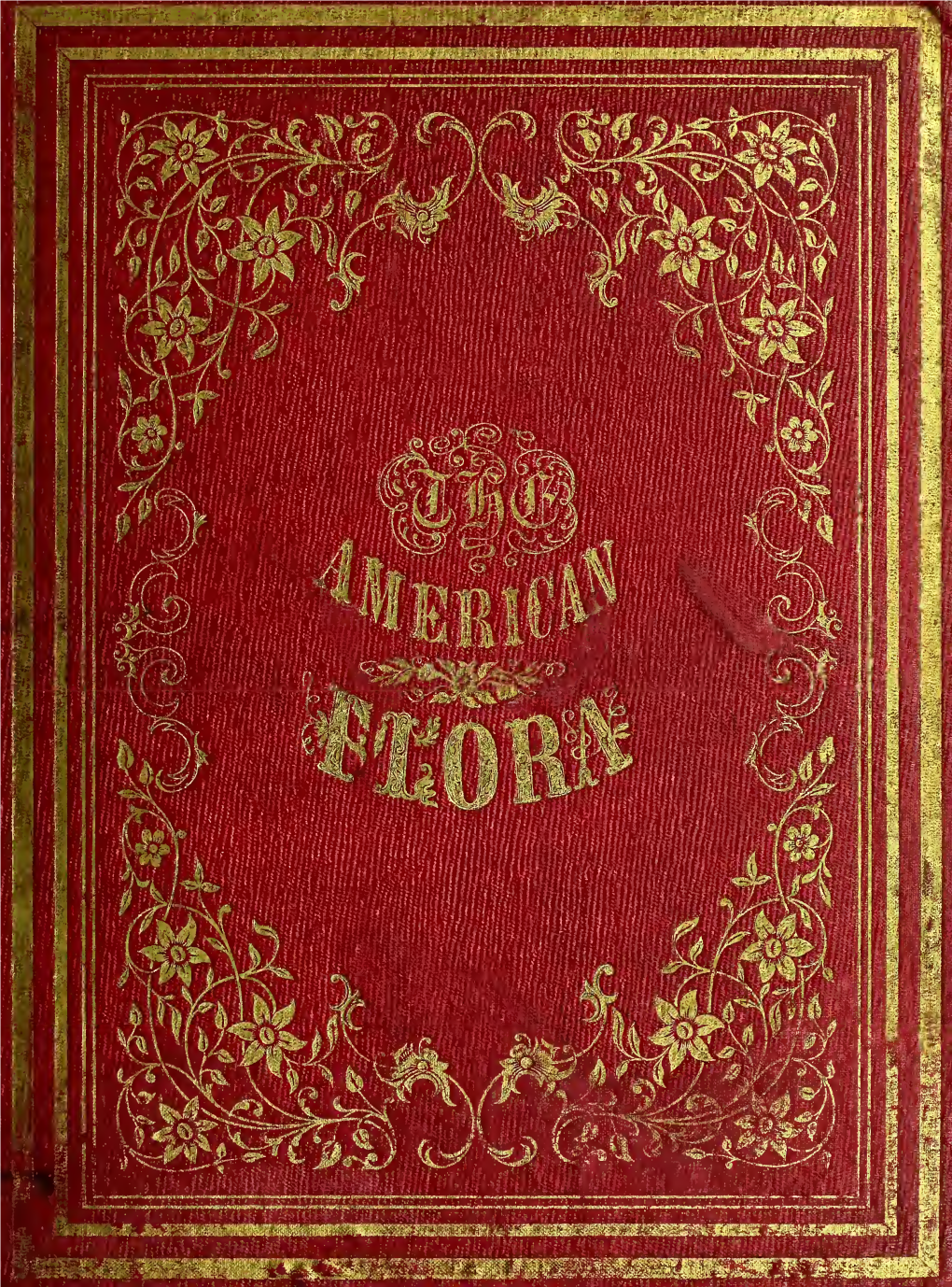 The American Flora, Or, History of Plants and Wild Flowers