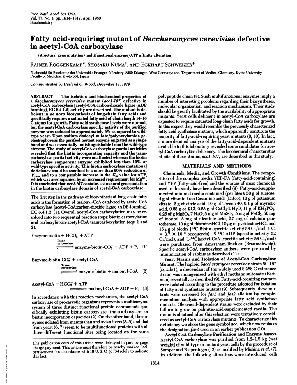 Fatty Acid-Requiring Mutant of Saccharomyces Cerevisiae