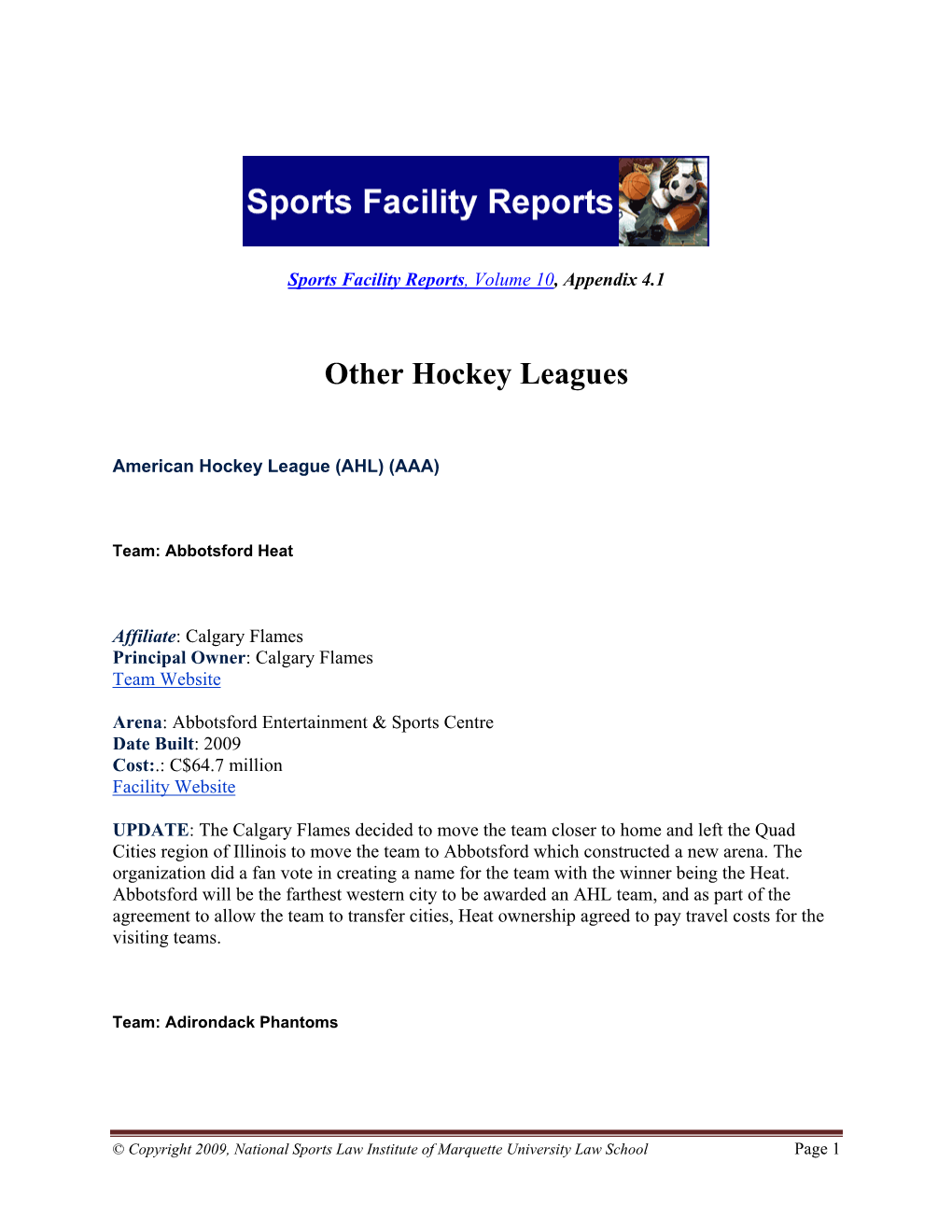 Other Hockey Leagues