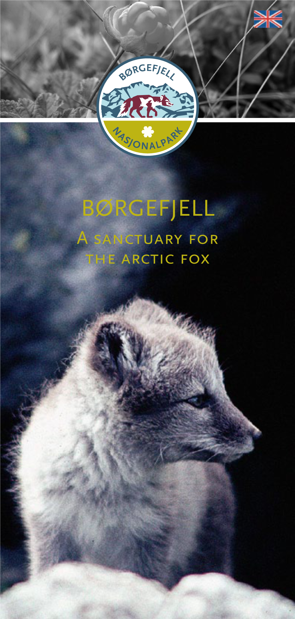 Børgefjell a Sanctuary for the Arctic Fox 2° 3° Børgefjell National Park Børgefjell National Park