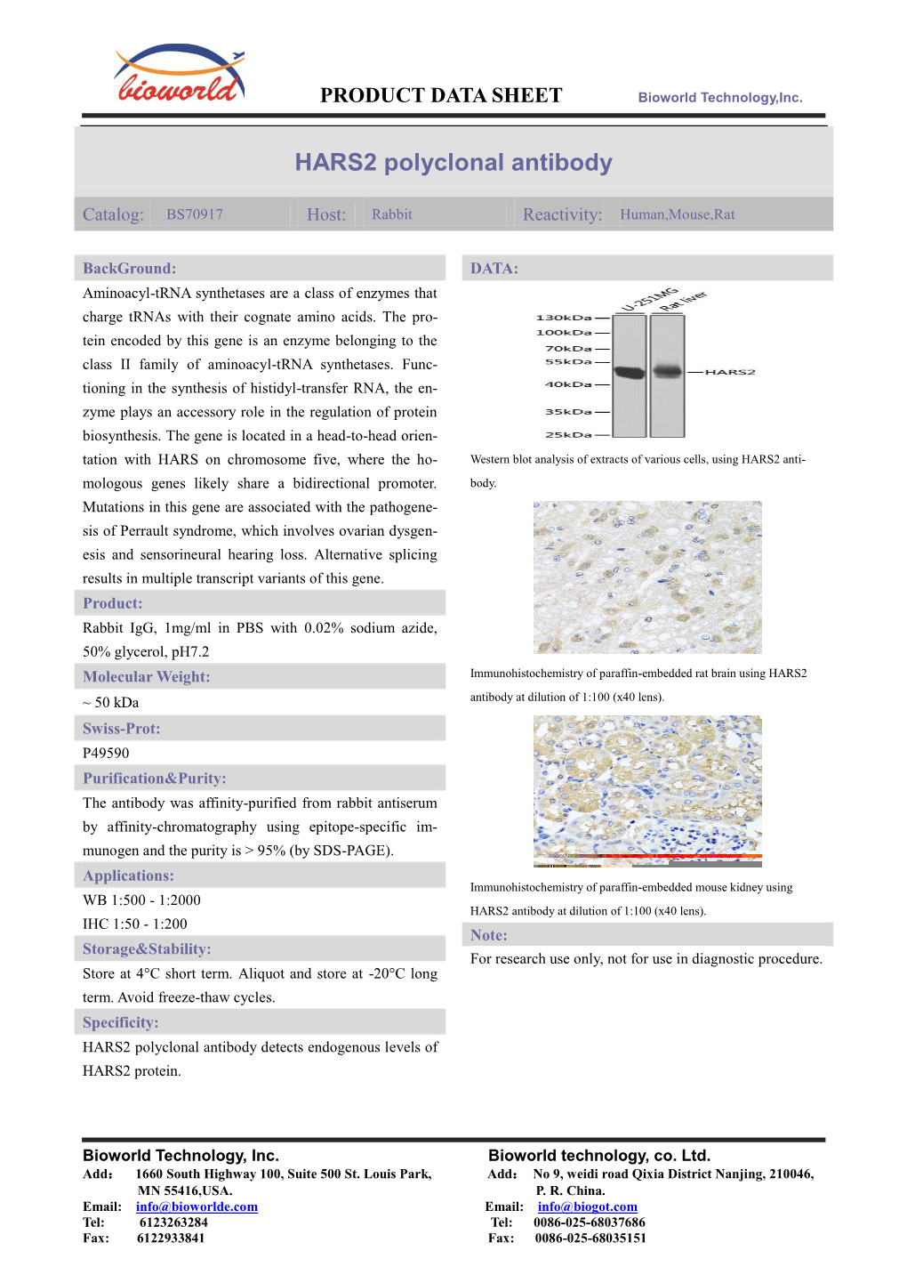 HARS2 Polyclonal Antibody