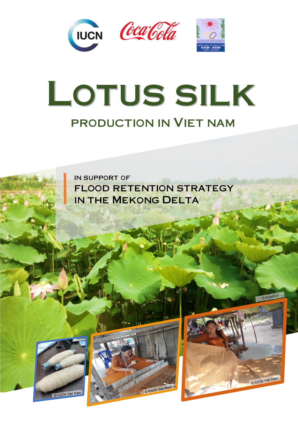 Lotus Silk Production in Viet Nam