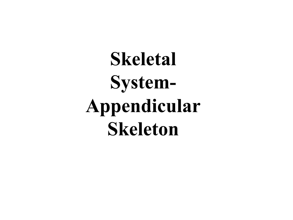 Skeletal System- Appendicular Skeleton Appendicular Skeleton, Basic Components