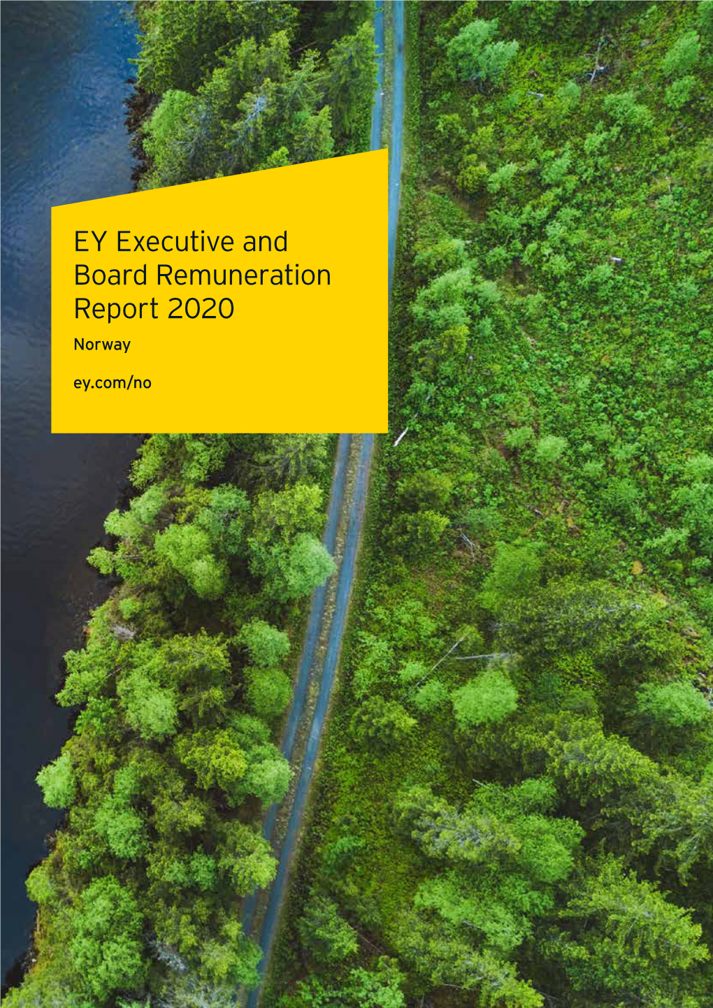 EY Executive and Board Remuneration Report 2020 Norway Ey.Com/No