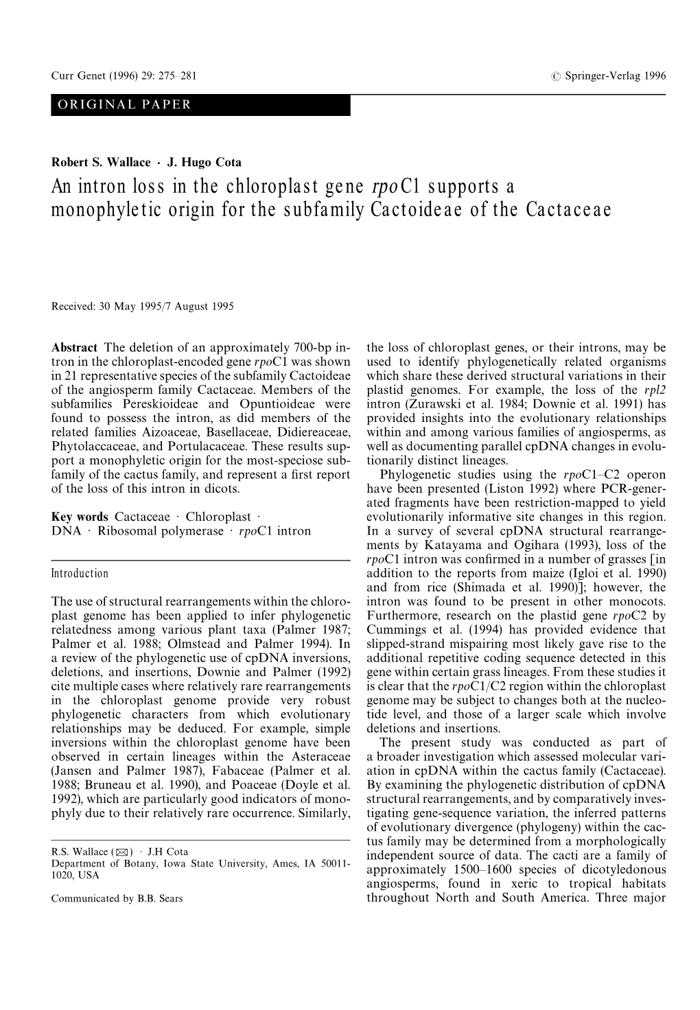 An Intron Loss in the Chloroplast Gene Rpoc1 Supports a Monophyletic Origin for the Subfamily Cactoideae of the Cactaceae