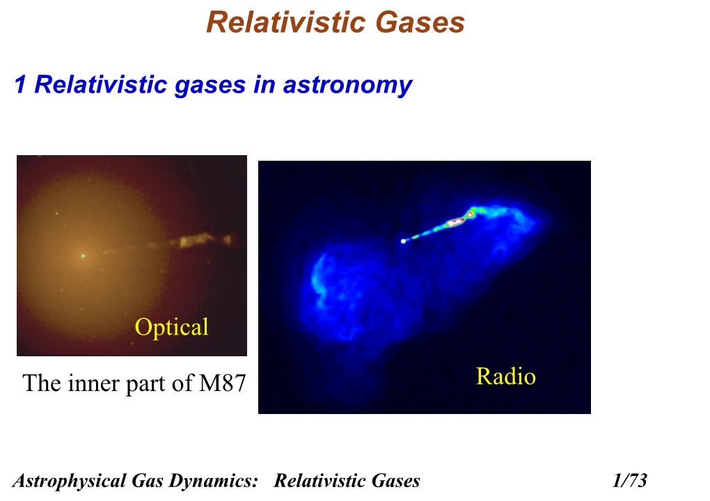 Relativistic Gases