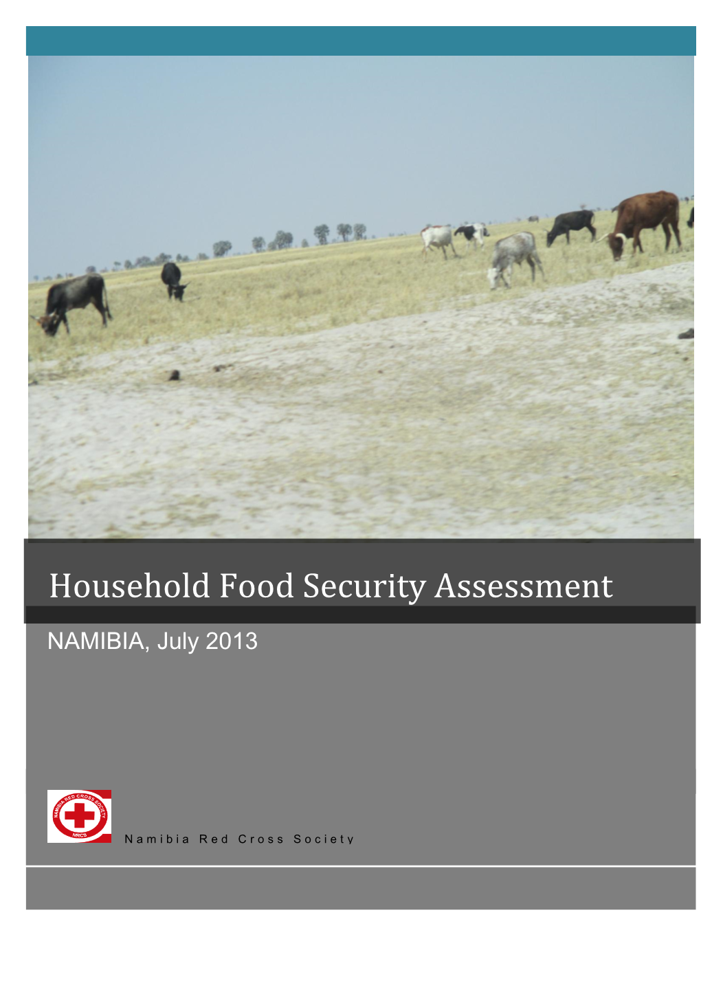 Household Food Security Assessment