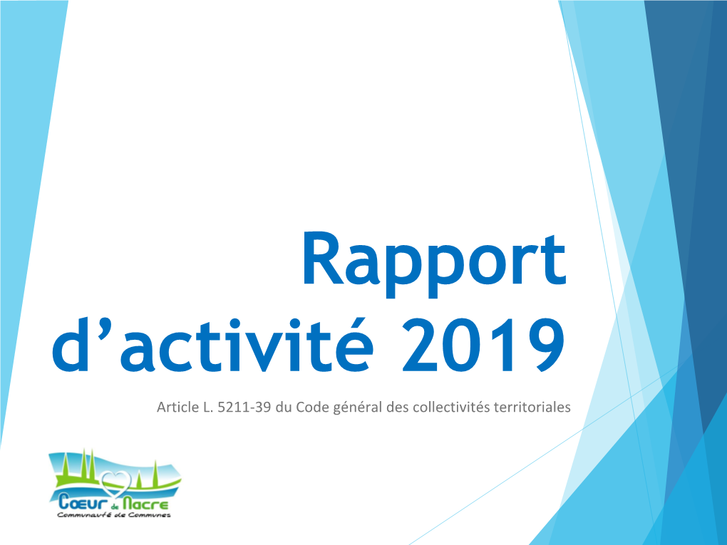 Rapport D'activité 2019