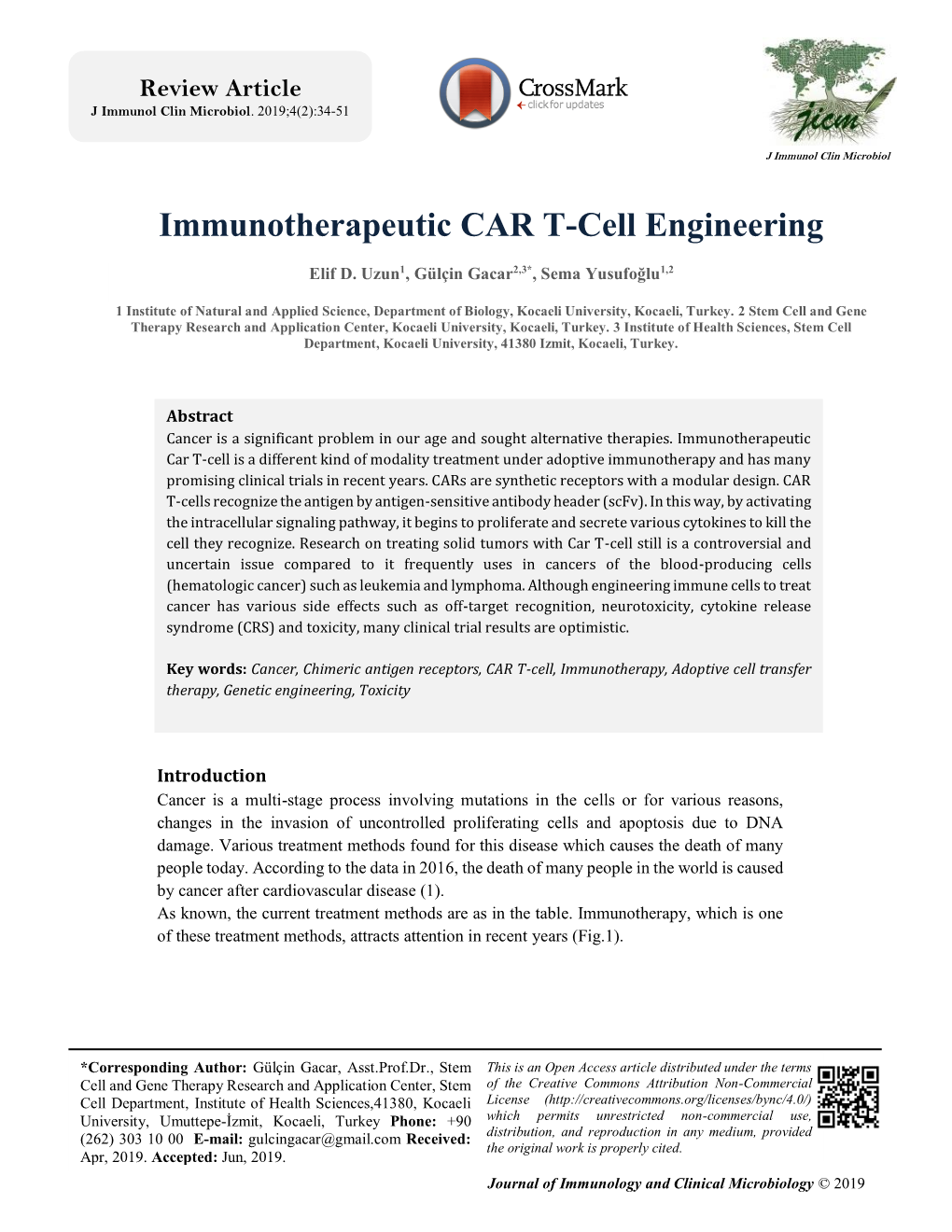 Immunotherapeutic CAR T-Cell Engineering