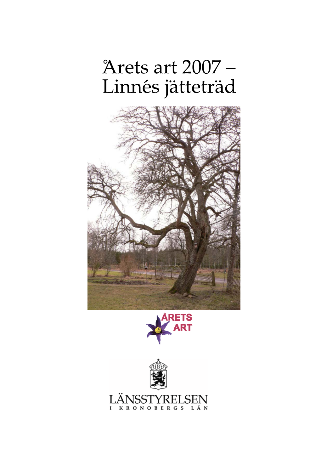 Årets Art 2007 – Linnés Jätteträd