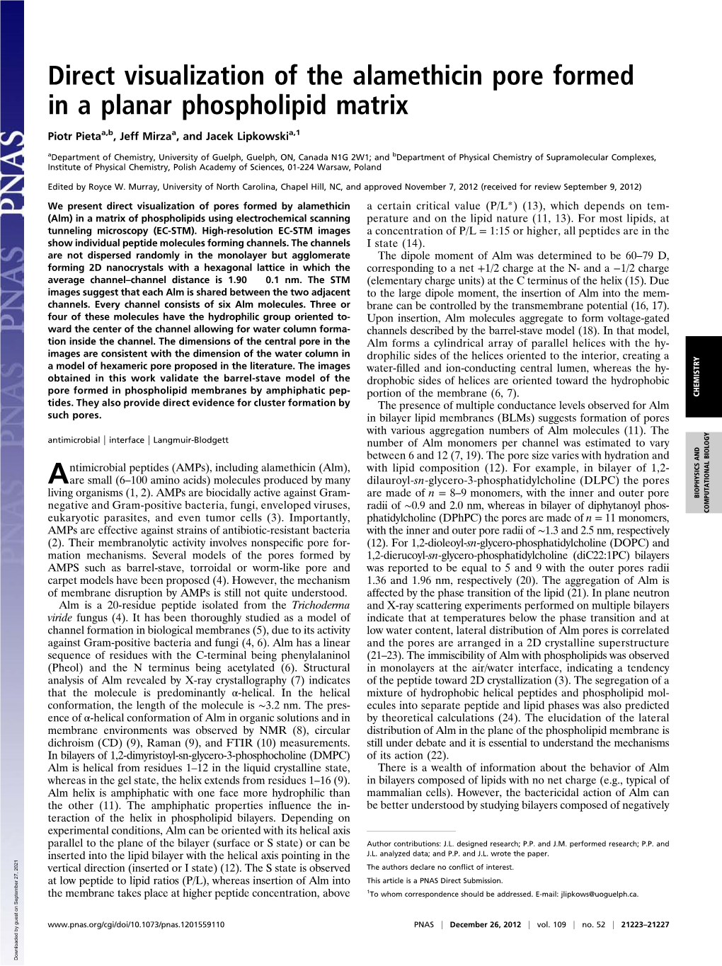 Direct Visualization of the Alamethicin Pore Formed in a Planar Phospholipid Matrix