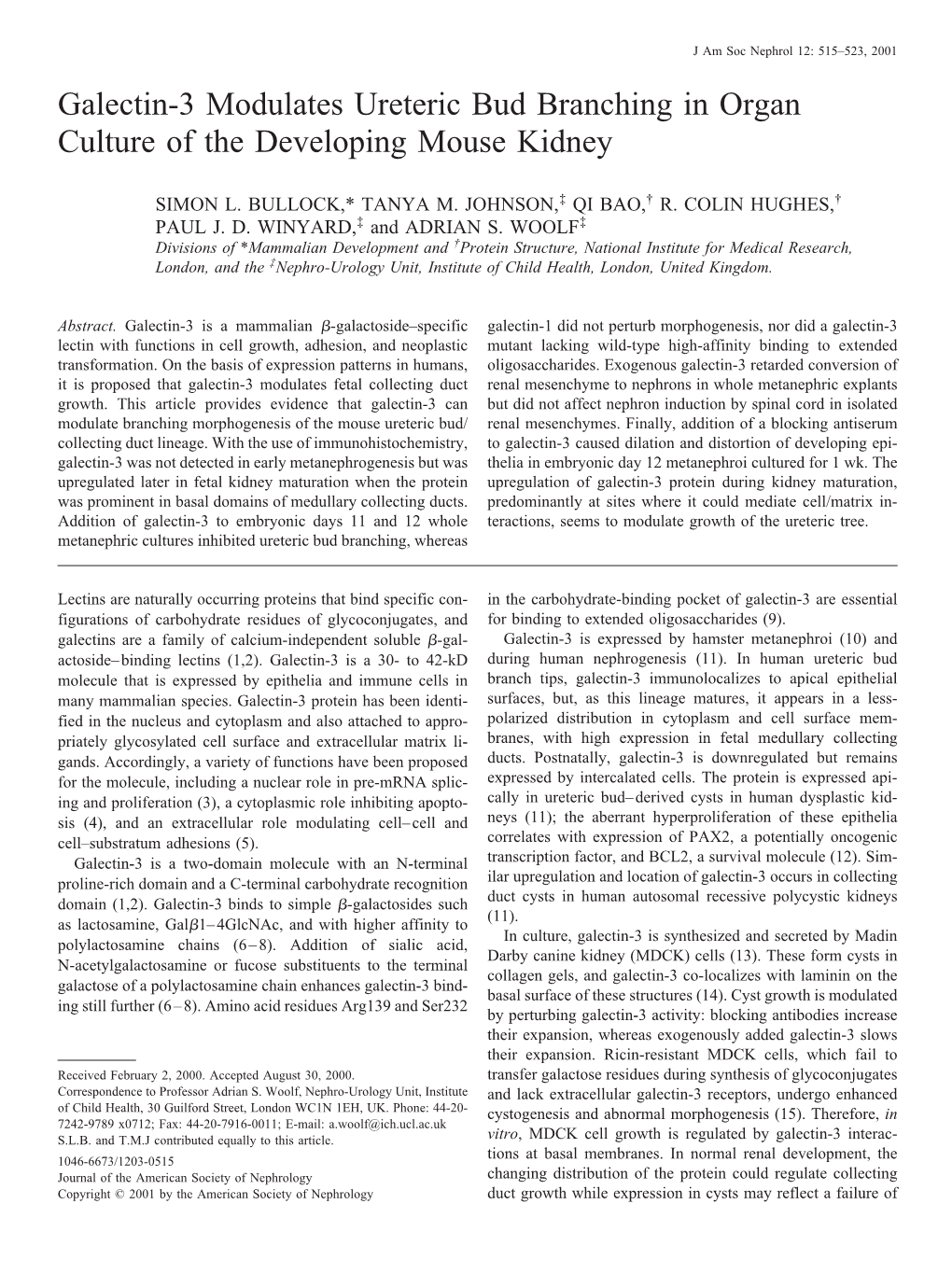 Galectin-3 Modulates Ureteric Bud Branching in Organ Culture of the Developing Mouse Kidney