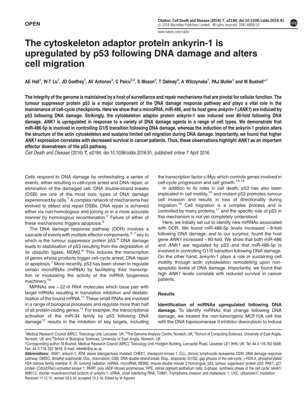 The Cytoskeleton Adaptor Protein Ankyrin-1 Is Upregulated by P53 Following DNA Damage and Alters Cell Migration