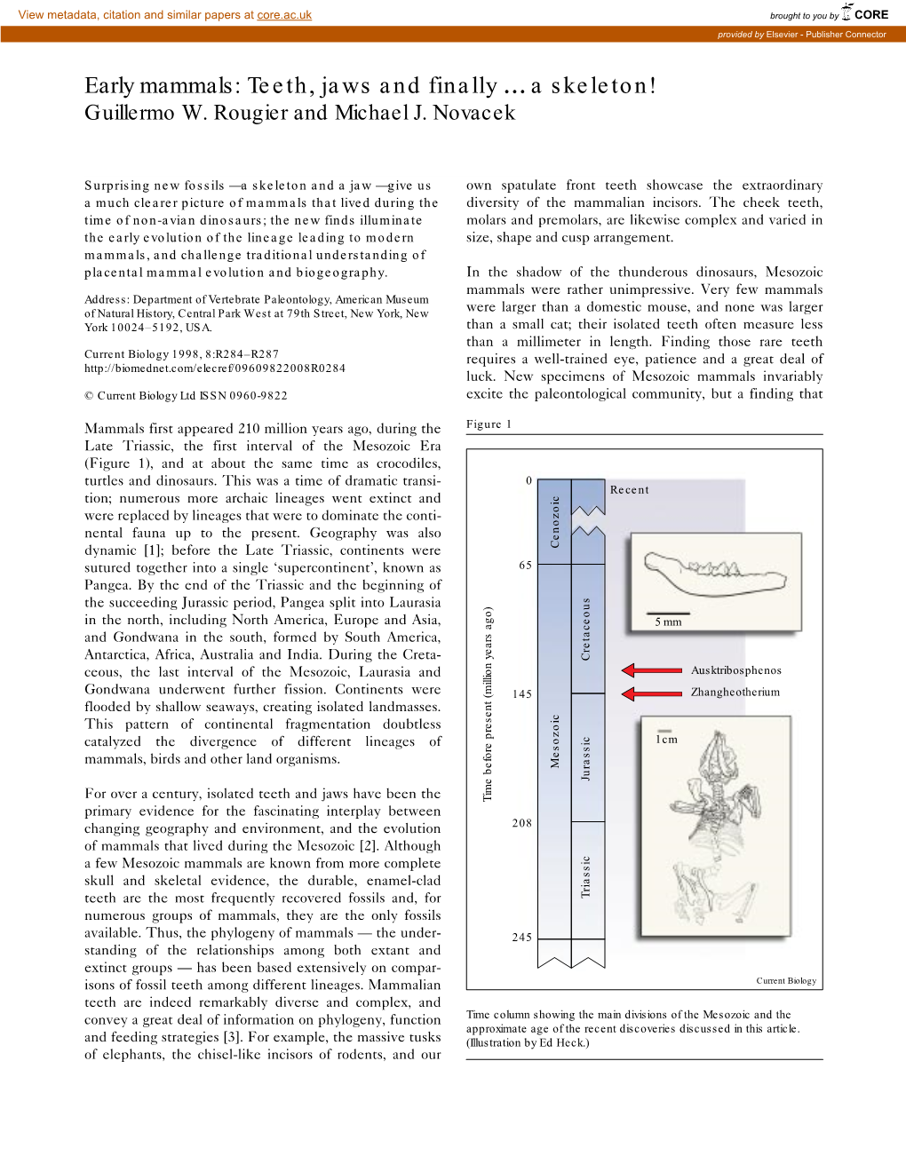 Early Mammals: Teeth, Jaws and Finally ¼ a Skeleton! Guillermo W