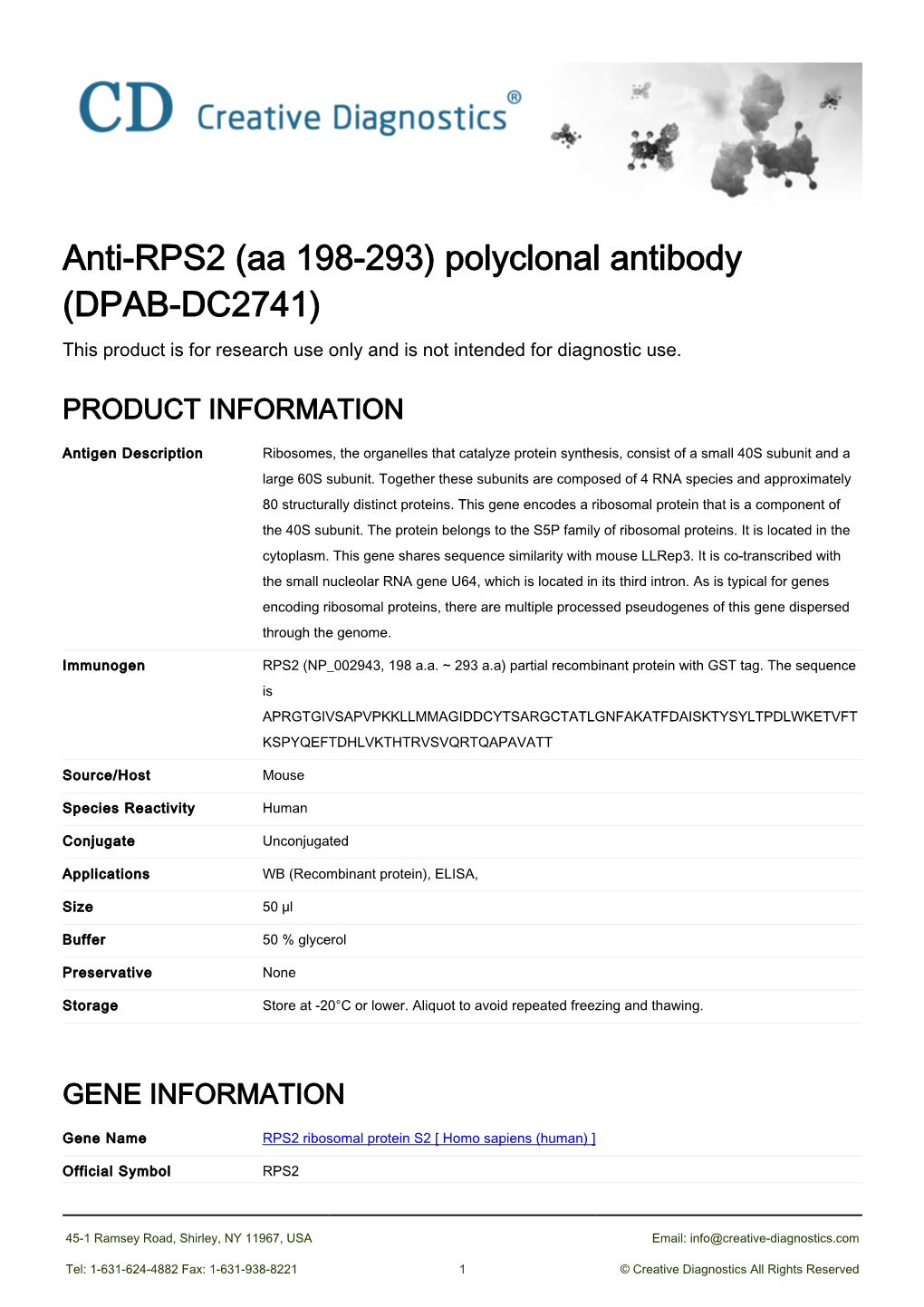 Anti-RPS2 (Aa 198-293) Polyclonal Antibody (DPAB-DC2741) This Product Is for Research Use Only and Is Not Intended for Diagnostic Use
