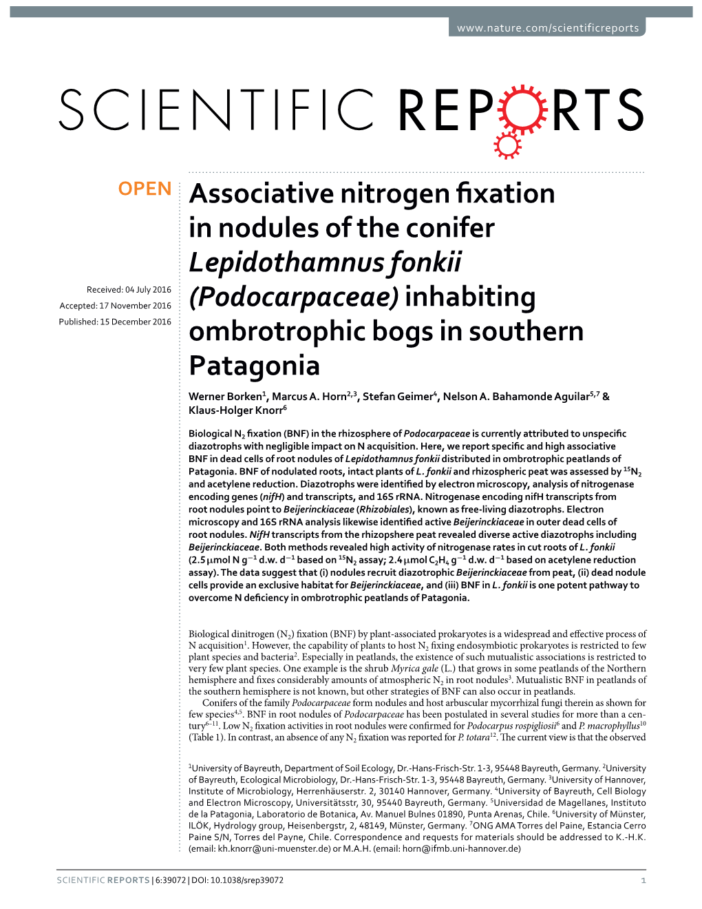 Associative Nitrogen Fixation in Nodules of the Conifer Lepidothamnus Fonkii (Podocarpaceae) Inhabiting Ombrotrophic Bogs in Southern Patagonia