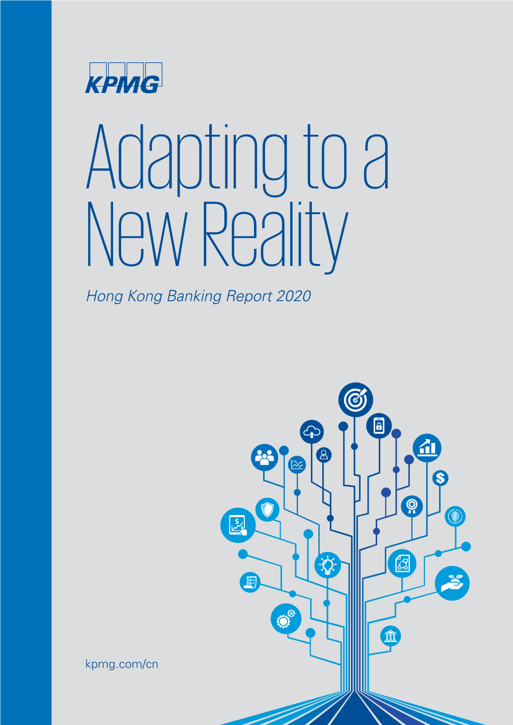 Adapting to a New Reality Hong Kong Banking Report 2020