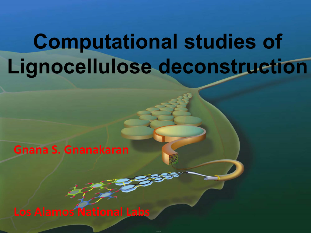 BETO Webinar: Computational Studies of Lignocellulose Deconstruction