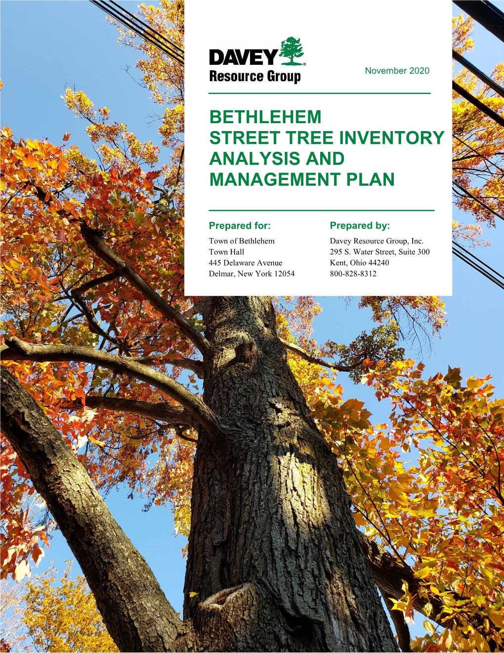Bethlehem Street Tree Inventory Analysis and Management Plan