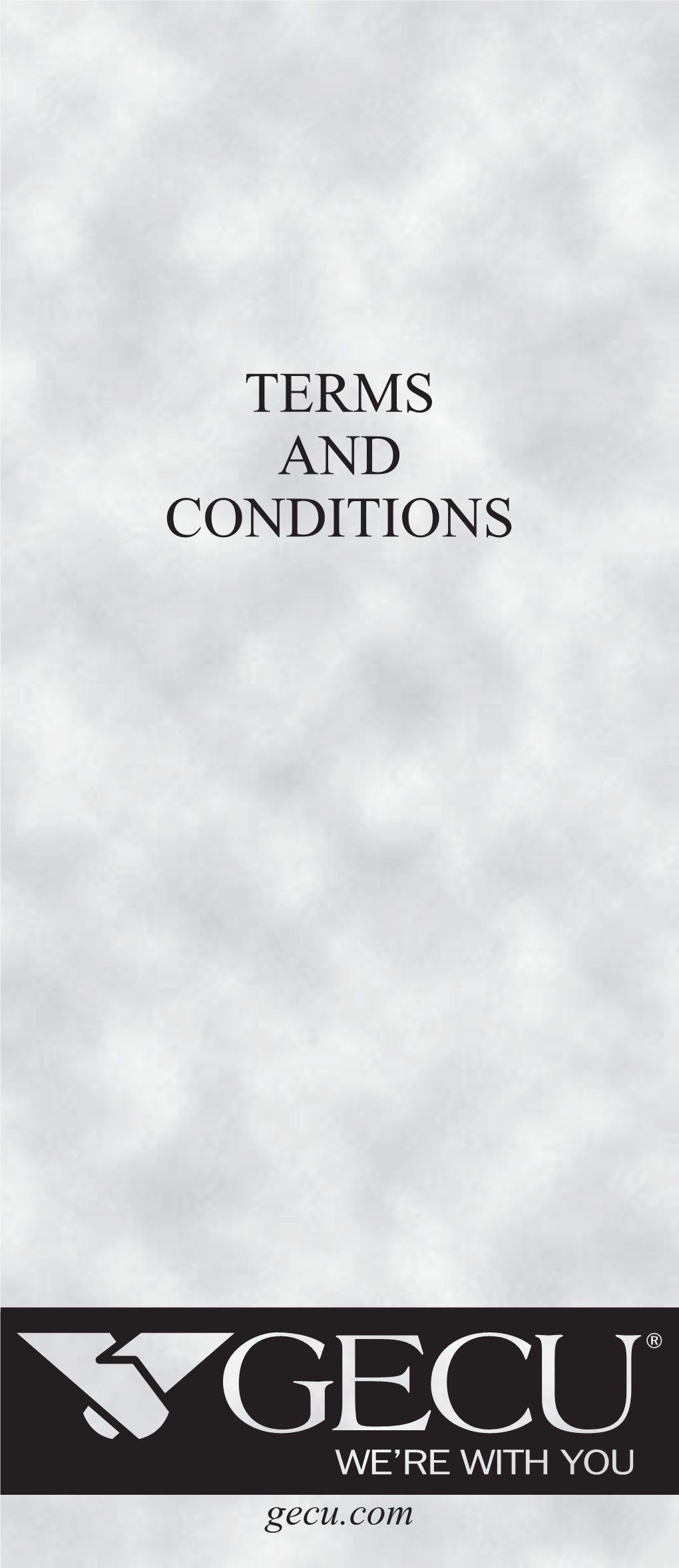 Terms and Conditions