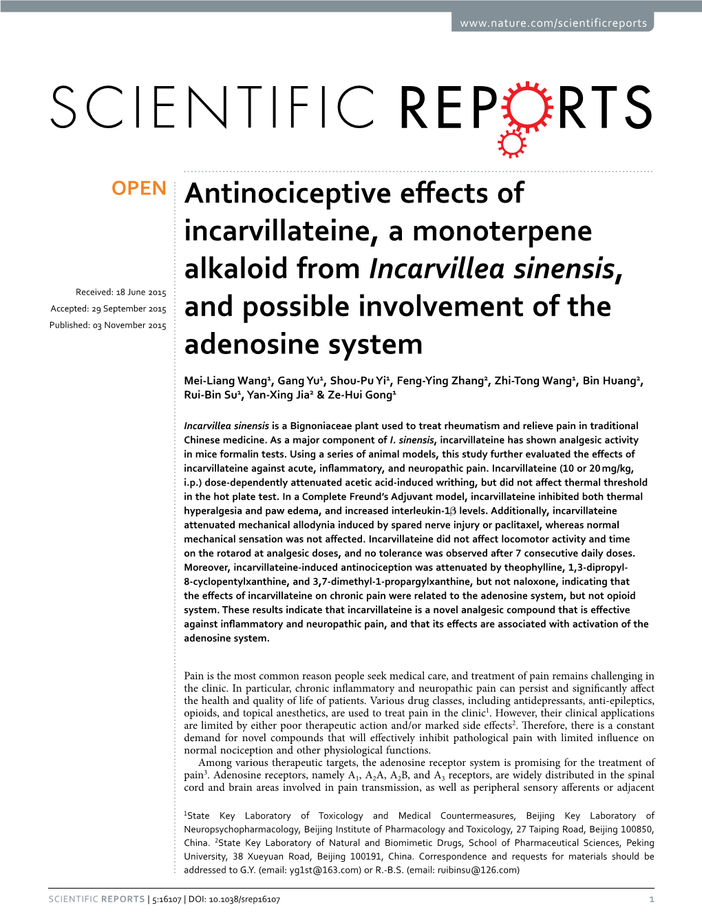 Antinociceptive Effects of Incarvillateine, a Monoterpene