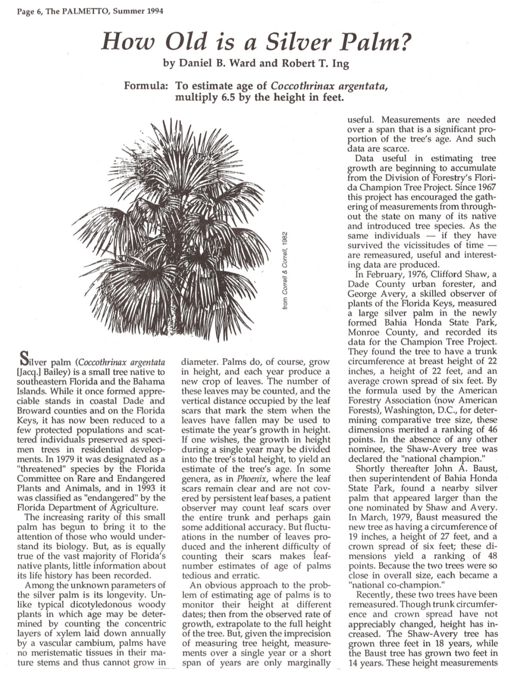 How Old Is a Silver Palm? by Daniel B