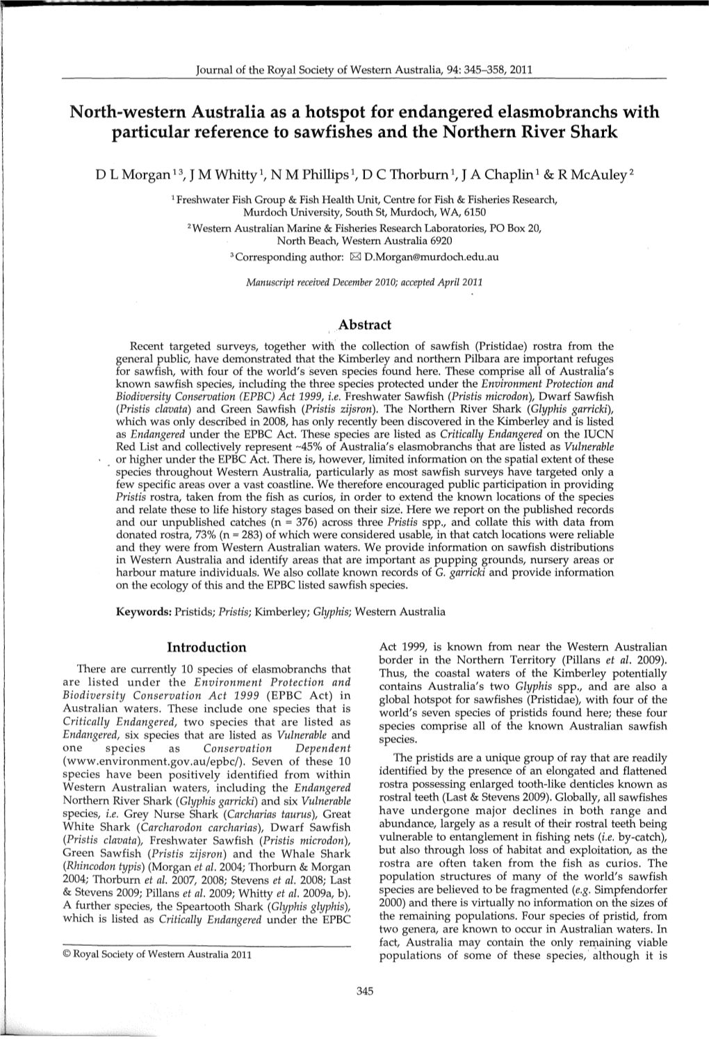 North-Western Australia As a Hotspot for Endangered Elasmobranchs with Particular Reference to Sawfishes and the Northern River Shark