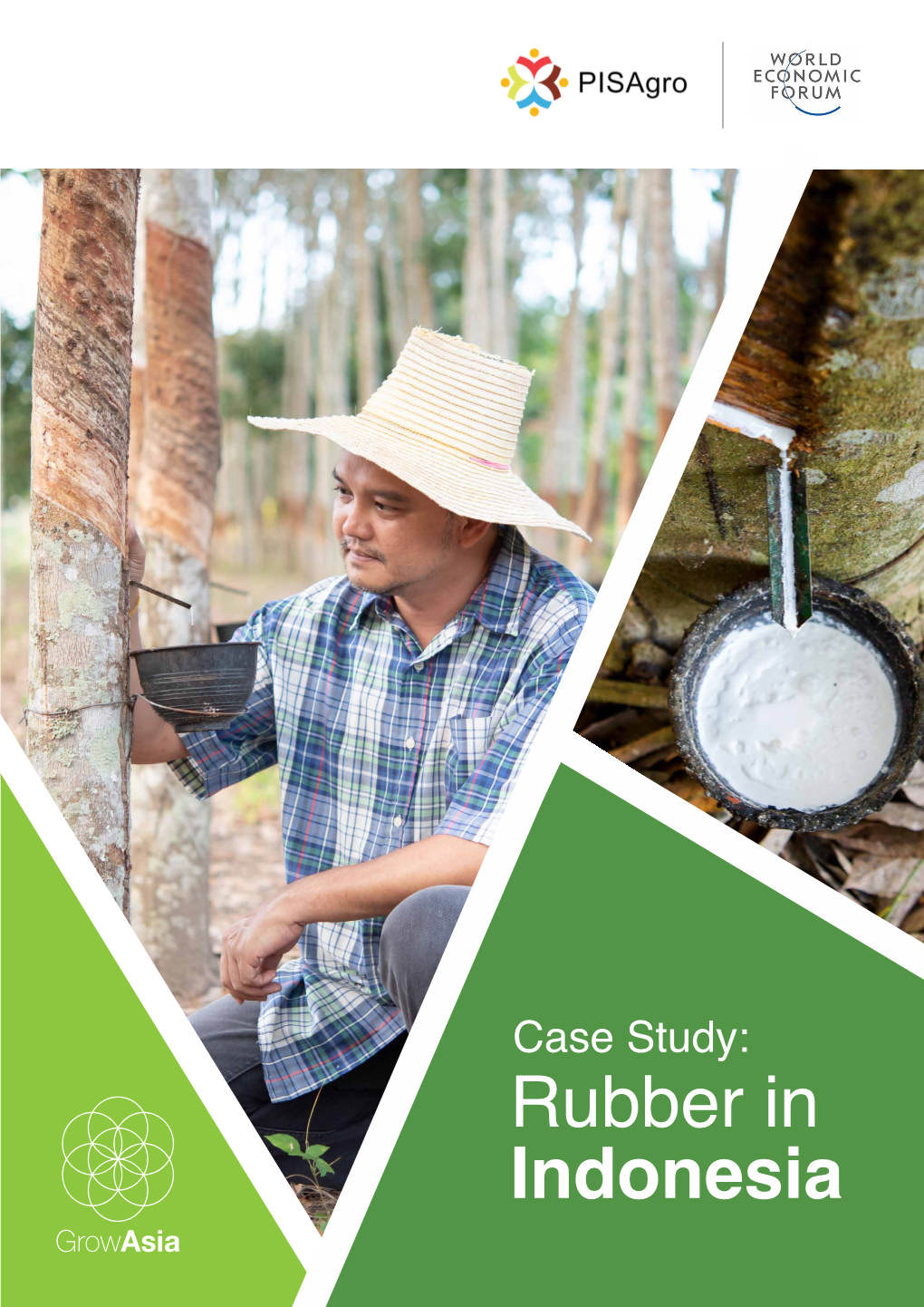 Case Study: Rubber in Indonesia Copyright Copyright © 2020 by Grow Asia Partnership Ltd