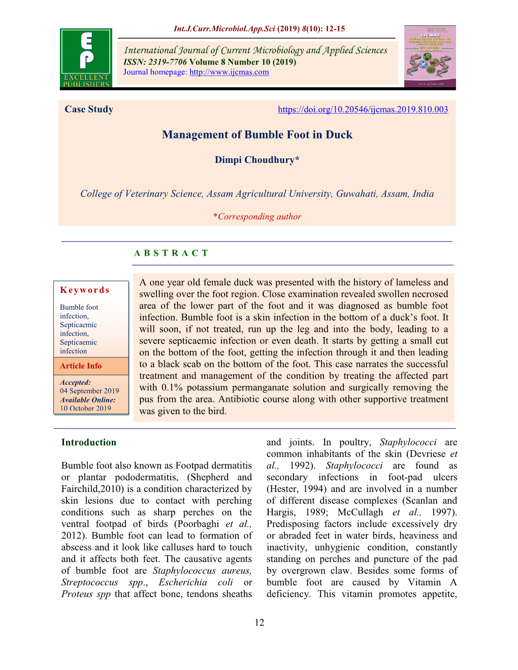 Management of Bumble Foot in Duck