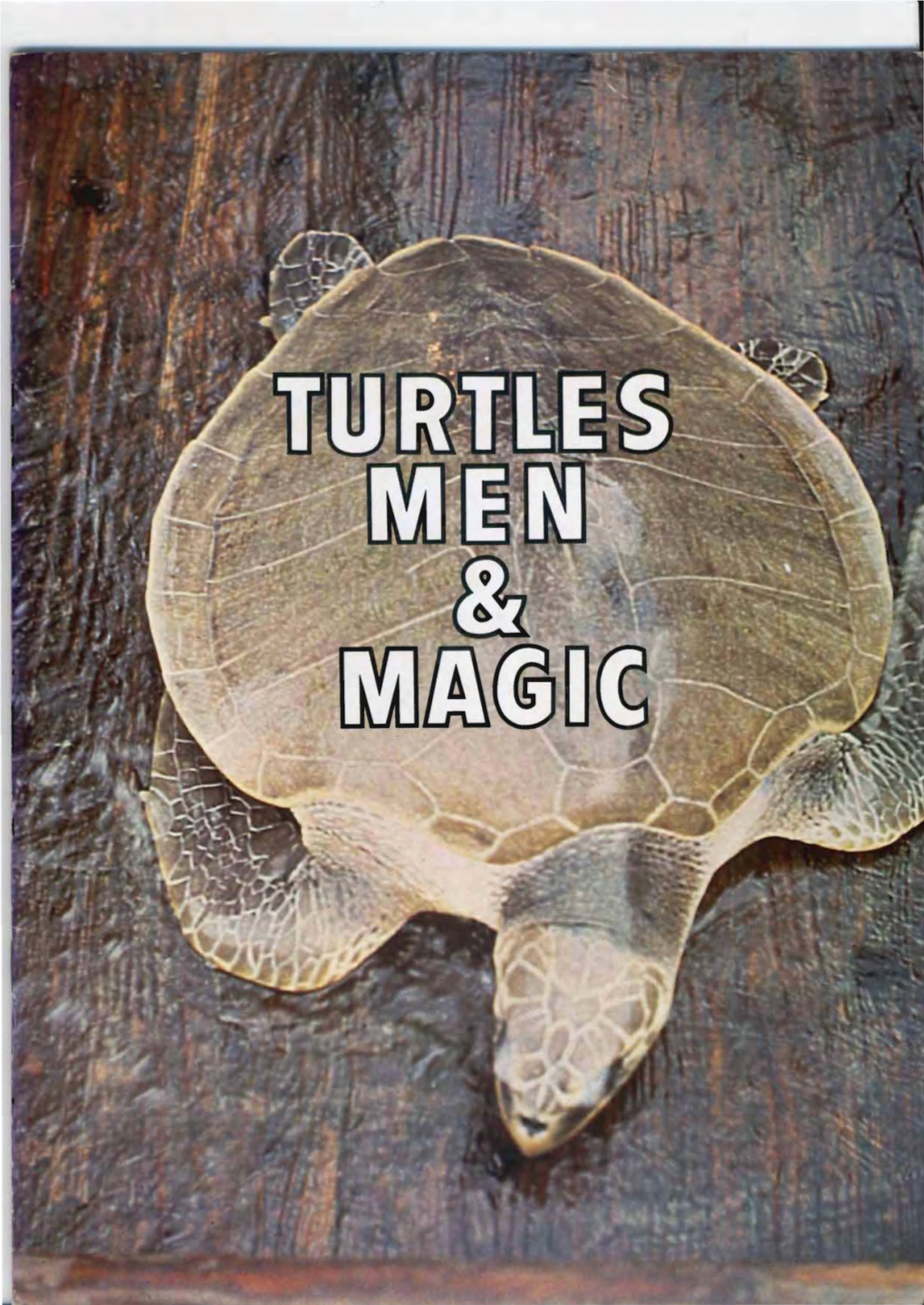 Spring (1980) Turtles Men and Magic